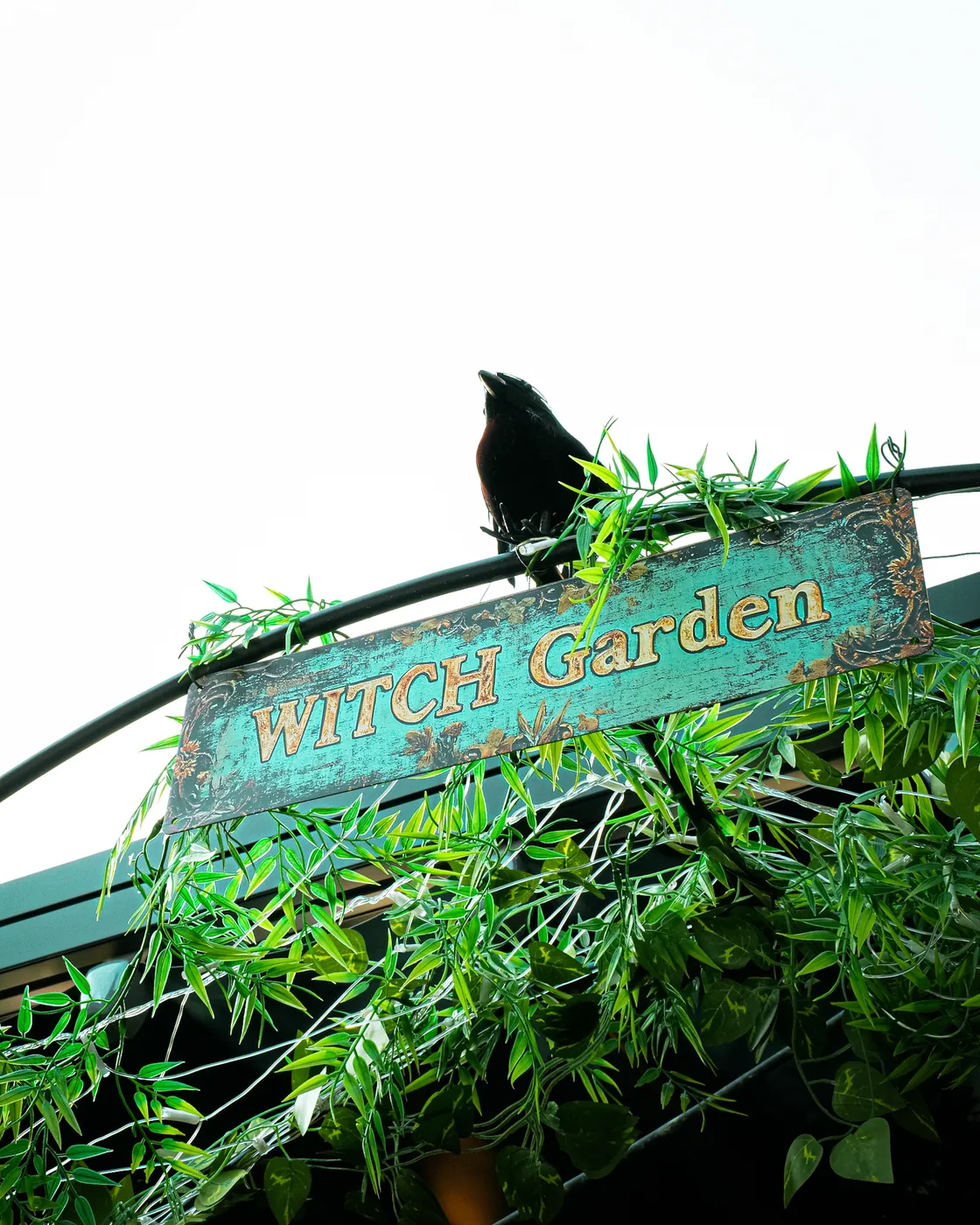 Witch-Garden-Schild mit Rabe über dem Terrasseneingang